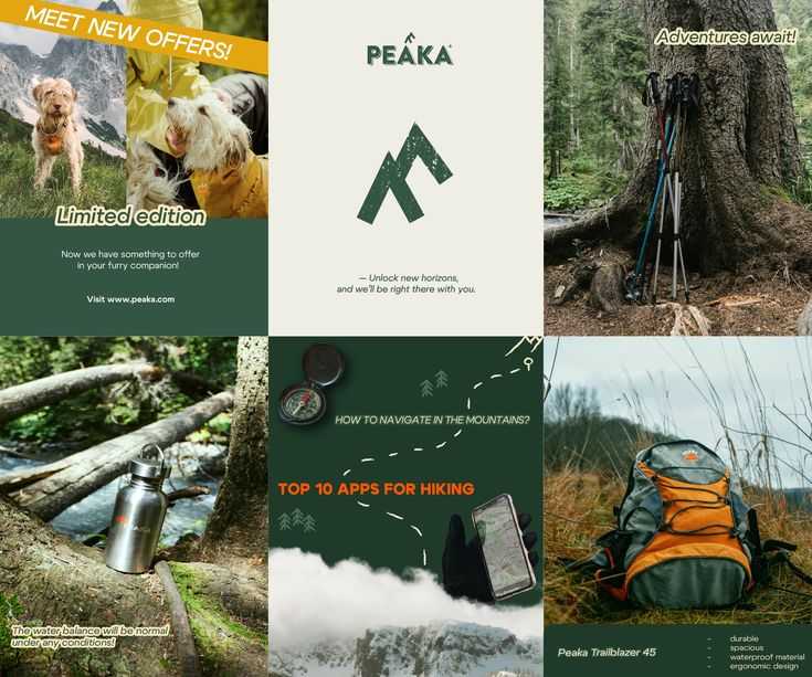 Social media design_ Branding for PEAKA