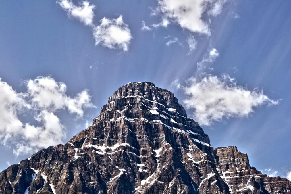 Conservation Challenges