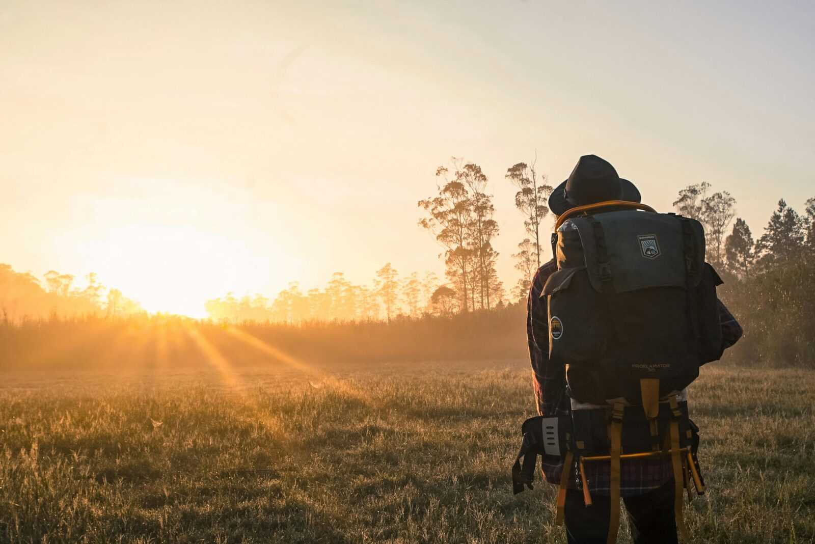 pexels-kun-fotografi-506396-1230302