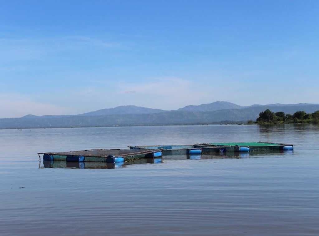 What Is Special About Lake Faticalawi