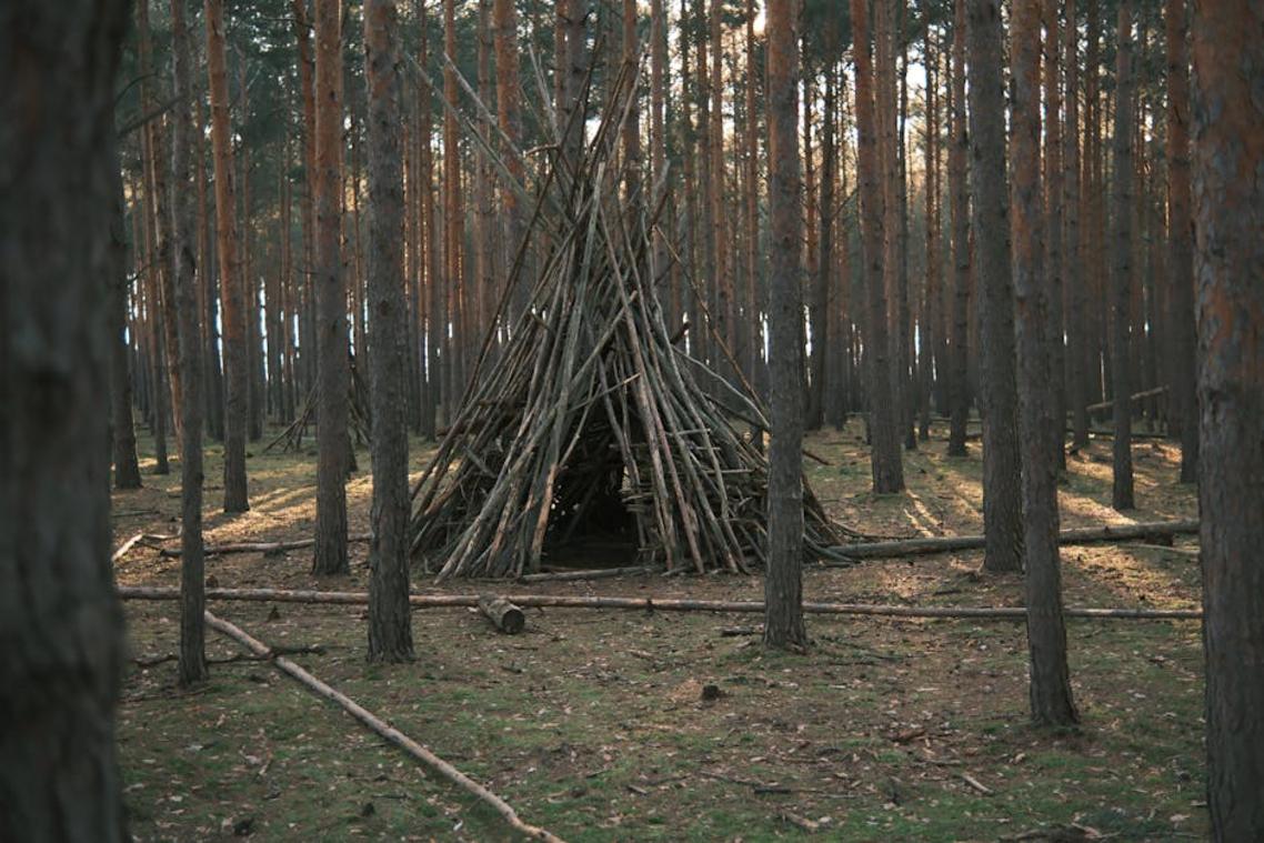 wilderness shelters