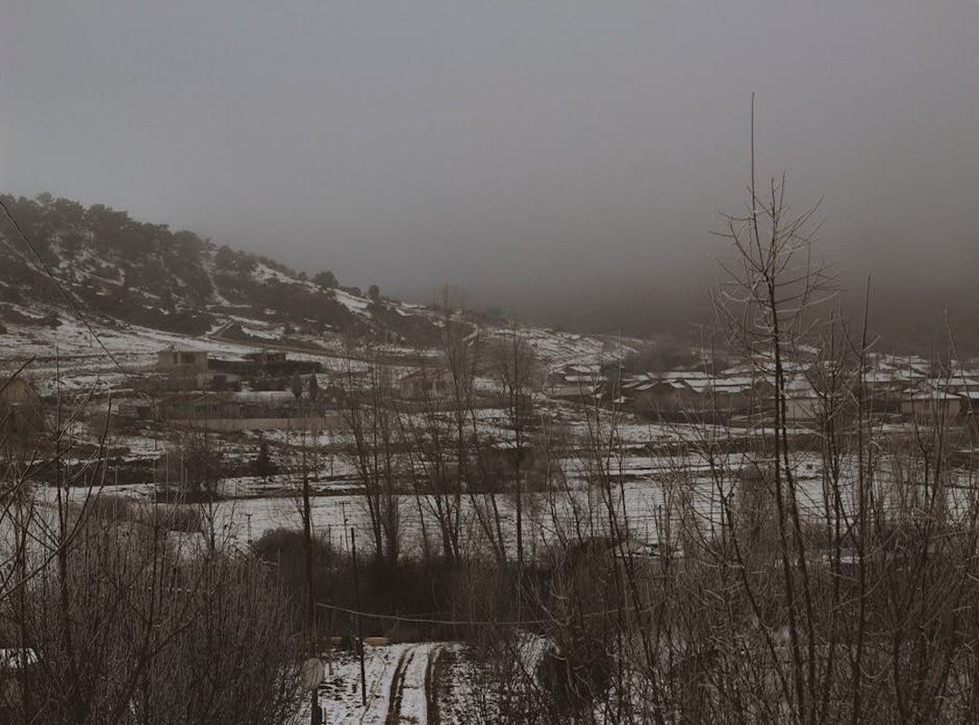 What Is the Temperature in Timgoraho